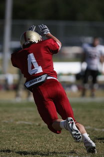 米兰体育官网入口-五大联赛球队是否有意控制比赛中界外球发球节奏，五大联赛允许几名外援  第3张